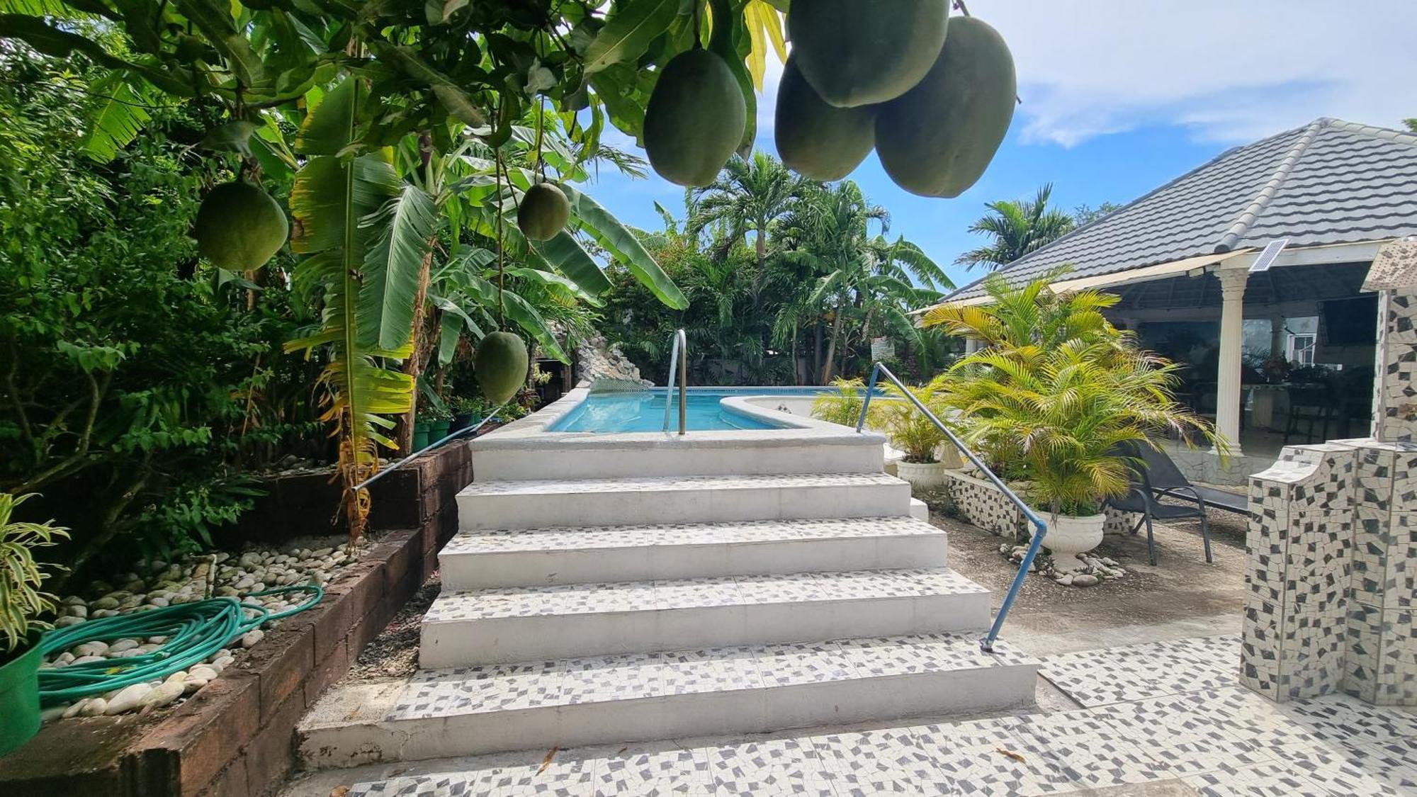 Little Savoy Guest House New 런어웨이베이 외부 사진